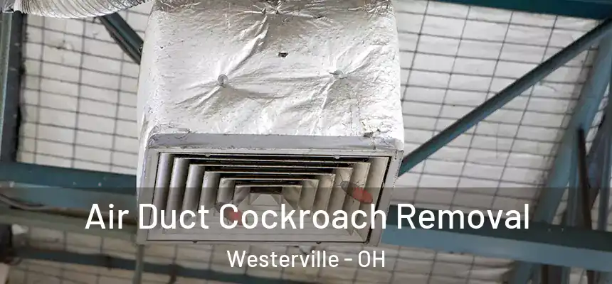  Air Duct Cockroach Removal Westerville - OH