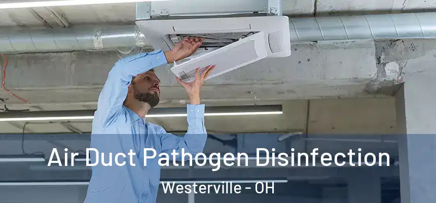  Air Duct Pathogen Disinfection Westerville - OH