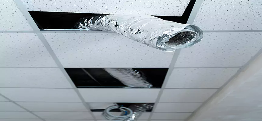 Affordable HVAC Sanitizing After Pest Removal in Westerville