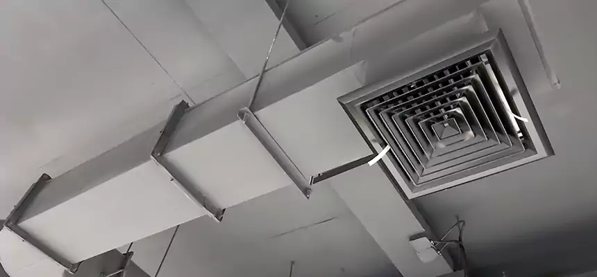 Our Pest Removal From Ducts Services in Westerville, OH