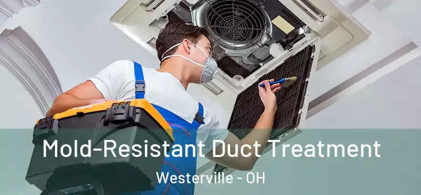  Mold-Resistant Duct Treatment Westerville - OH