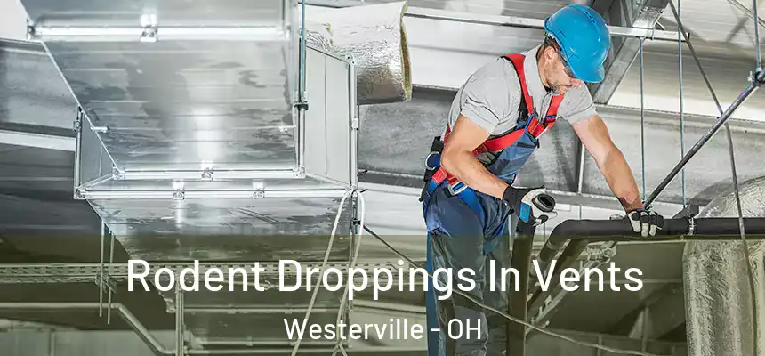 Rodent Droppings In Vents Westerville - OH
