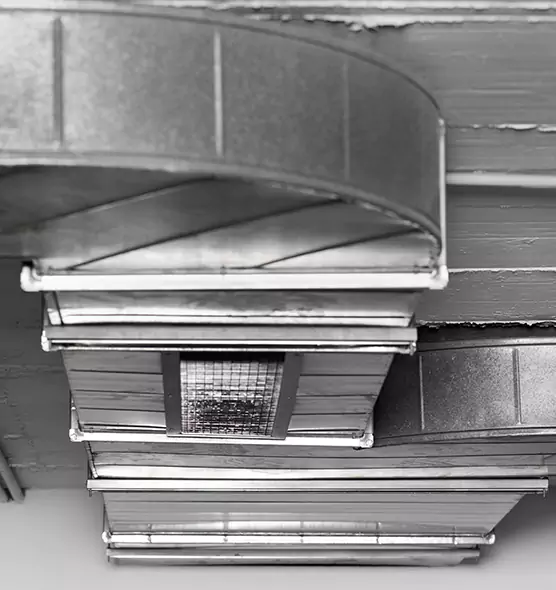 Professional Air Duct Pest Removal in Westerville, OH