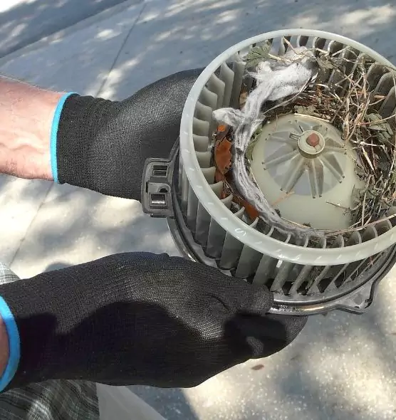 About Air Duct Rat Removal in Westerville, OH