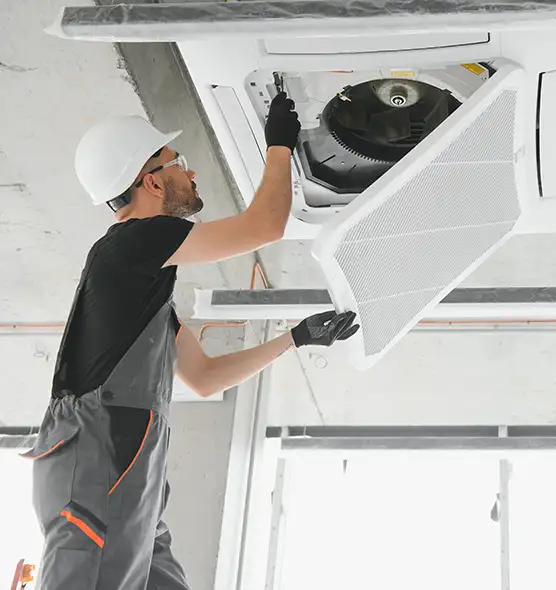 About Air Duct Rodent Removal in Westerville, OH