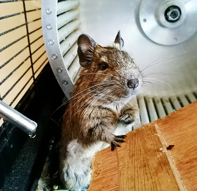 Why Homeowners & Businesses Trust Us Westerville, OH