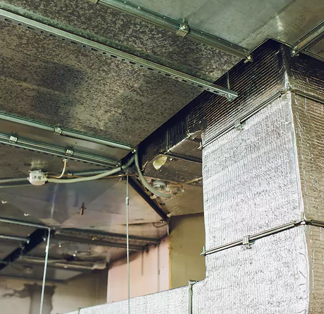 Why Homeowners & Businesses Trust Us in Westerville, OH?